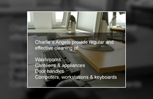 Charlie's Angels provide regular and effective cleaning of:

Washrooms
Canteens & appliances
Door handles
Computers, workstations & keyboards